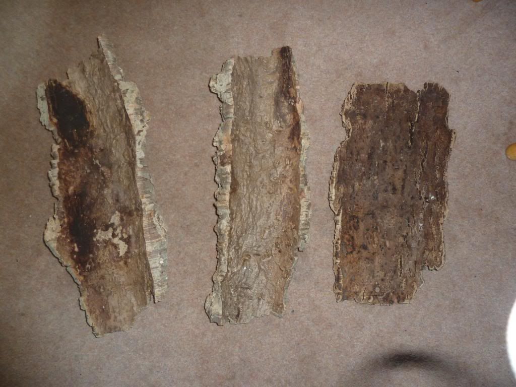 SE England 3 large pieces of cork bark for sale Reptile Forums